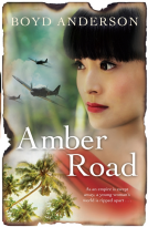 book cover for Amber Road