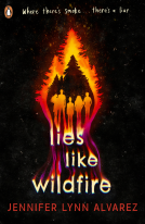 book cover for Lies Like Wildfire