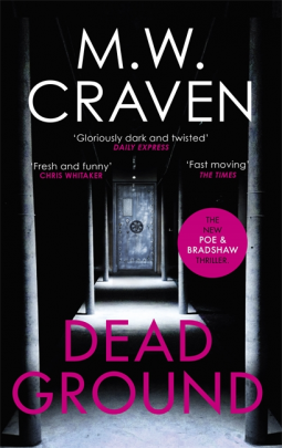 book cover for Dead Ground