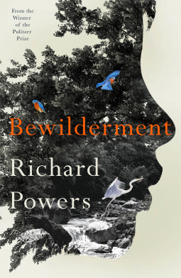 book cover for Bewilderment