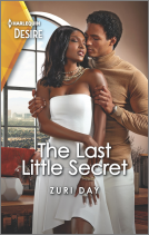 book cover for The Last Little Secret