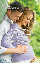 book cover for Building a Surprise Family