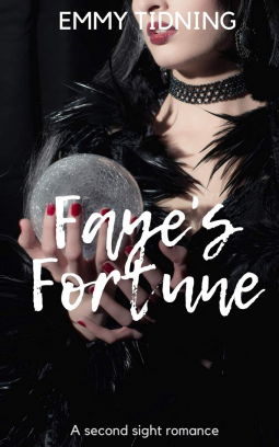 book cover for Faye's Fortune