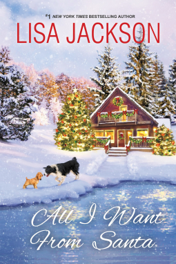 book cover for All I Want from Santa