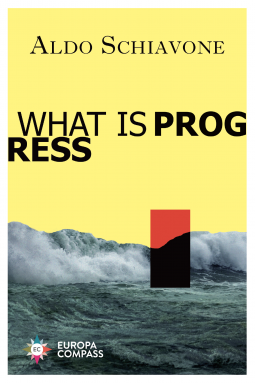 book cover for What is Progress