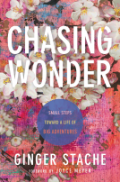 book cover for Chasing Wonder