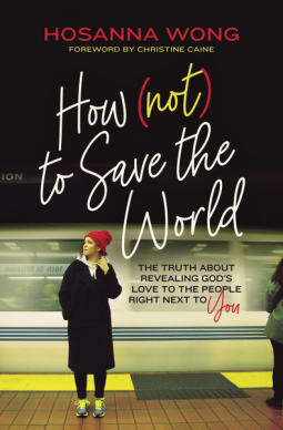 book cover for How (Not) to Save the World