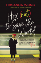 book cover for How (Not) to Save the World