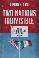 book cover for Two Nations Indivisible