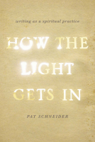 book cover for How the Light Gets In