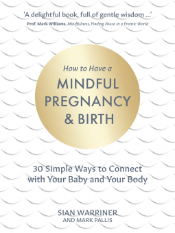 book cover for How to Have a Mindful Pregnancy and Birth