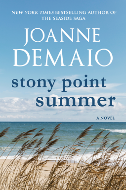 book cover for Stony Point Summer