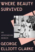 book cover for Where Beauty Survived