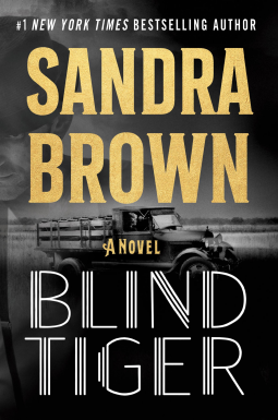 book cover for Blind Tiger