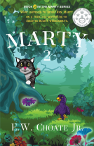 book cover for Marty 2: Missing Hero