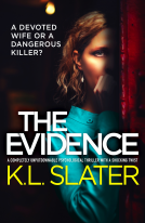 book cover for The Evidence
