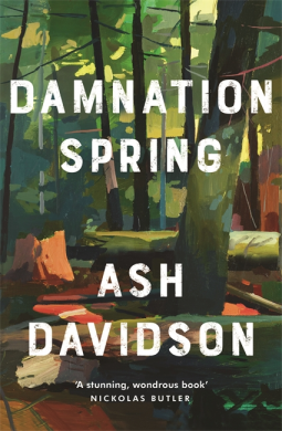 book cover for Damnation Spring