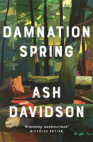 book cover for Damnation Spring