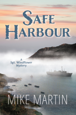 book cover for Safe Harbour