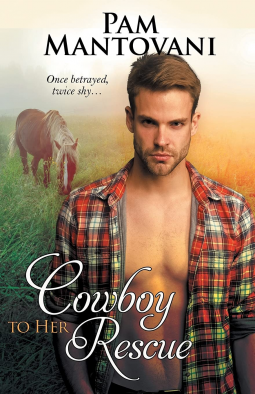 book cover for Cowboy to Her Rescue