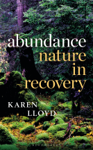book cover for Abundance