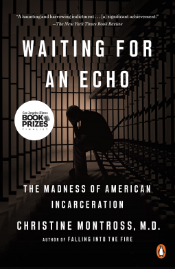 book cover for Waiting for an Echo
