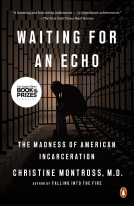 book cover for Waiting for an Echo