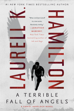 book cover for A Terrible Fall of Angels