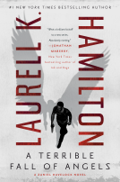 book cover for A Terrible Fall of Angels