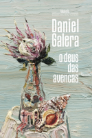 book cover for O deus das avencas