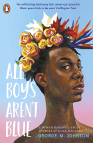 book cover for All Boys Aren't Blue