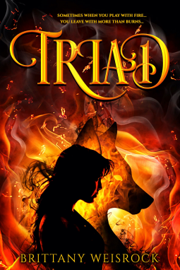 book cover for Triad