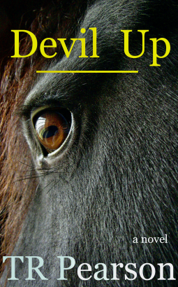 book cover for Devil Up