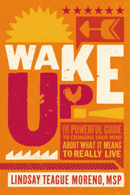 book cover for Wake Up!