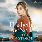 book cover for The Storm