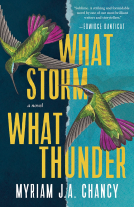 book cover for What Storm, What Thunder