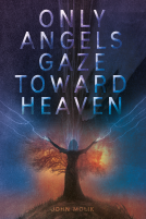 book cover for Only Angels Gaze Toward Heaven