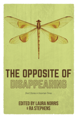 book cover for The Opposite of Disappearing