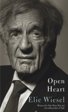 book cover for Open Heart