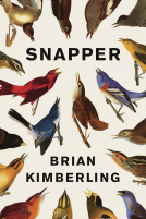 book cover for Snapper