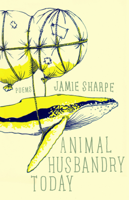 book cover for Animal Husbandry Today