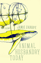 book cover for Animal Husbandry Today