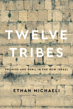 book cover for Twelve Tribes