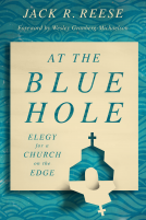 book cover for At the Blue Hole