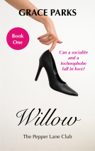 book cover for Willow