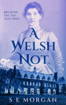 book cover for A Welsh Not