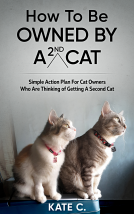 book cover for How To Be Owned By A 2nd Cat