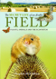 Cover Image: The Secret Life of an Arable Field