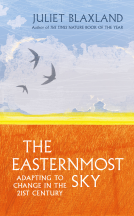 book cover for The Easternmost Sky