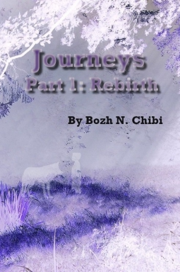 book cover for Journeys Part 1